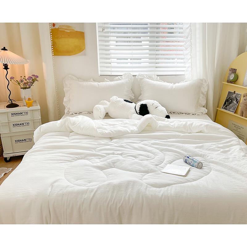 

Snoopy Skin-Friendly Soybean Fiber All-Season Duvet