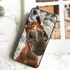 Horse Animal Phone Case For iPhone 15 16 14 Plus 13 12 Mini 11 Pro Max X XR XS Max 7 8 Back Cover