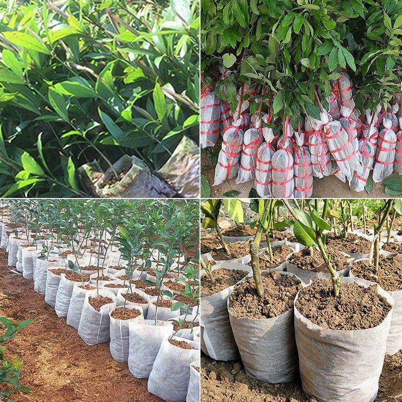 100pcs Nursery Bag Plant Seeding Grow Bags Degradable Garden Indoor Planting Bags Greenhouse Flower Pots Bags