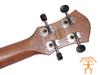 aNueNue Mini Koa Mini Concert Ukulele aNN-MCK