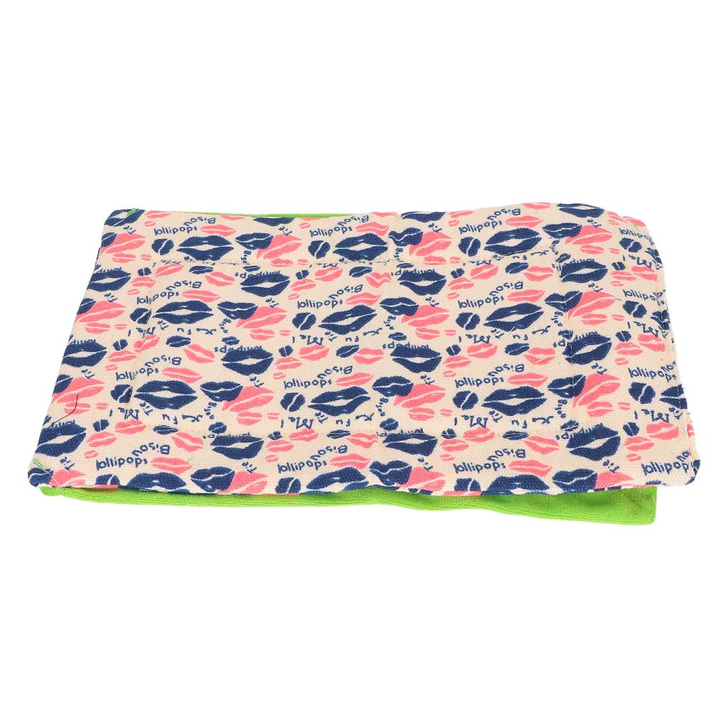 Reptile Sleeping Bag Soft and Warm Bearded Dragon Bed with Pillow for Bearded Dragon Leopard Gecko(Lip Print Green
