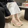 One-word Thick-heeled High-heeled Shoes for Outer Wear In the Spring and Summer of 2025, New Casual Transparent Open-toed Thick-soled Cool Slippers