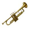 Professional Bb Trumpet Brass Polished Brand New Edition with Mouthpiece Best for Gift