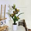Cymbidium Rolfe Faberi Flusssteine Bonsai Simulierte Blume Topf Für Deko Hotel