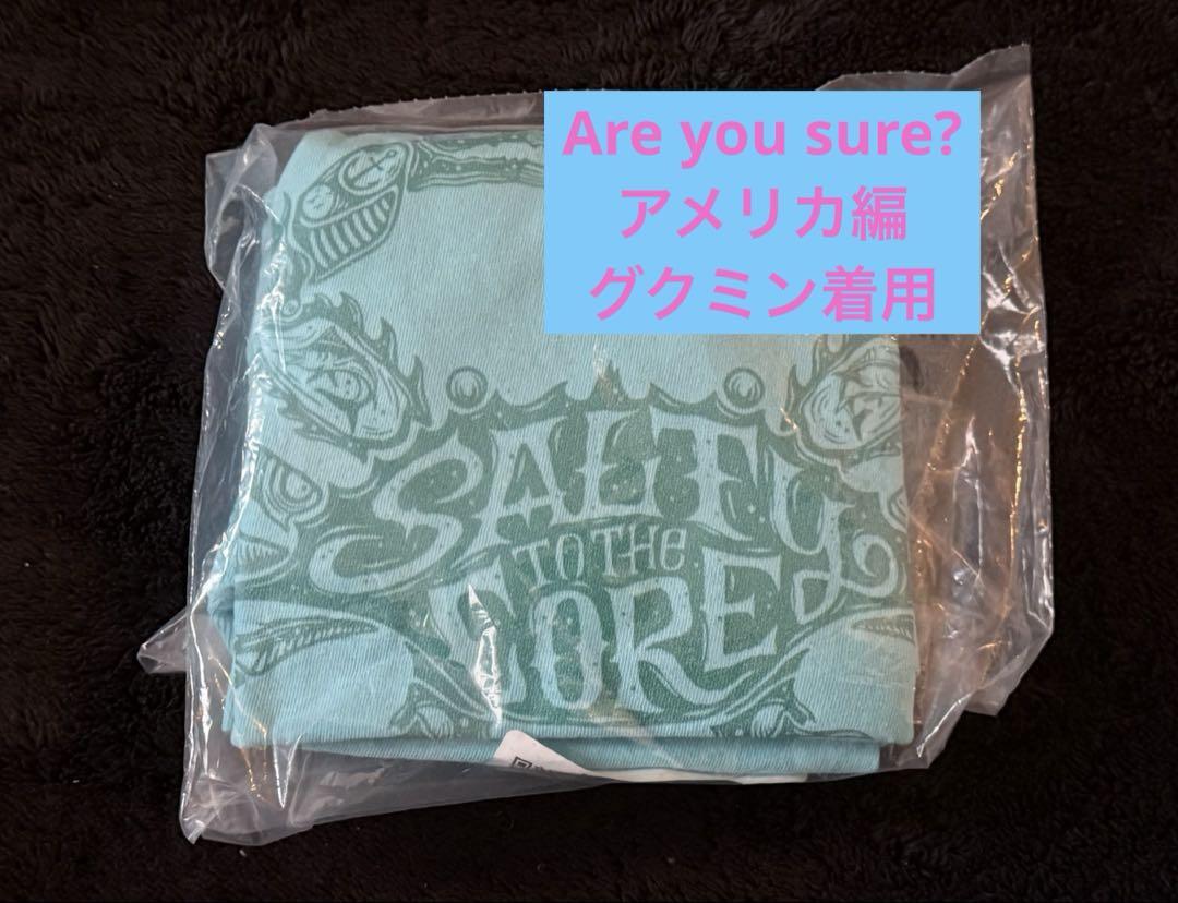 

[ИСПОЛЬЗОВАН] BTS Igemaja Вы уверены Футболка Disney Plus потертая