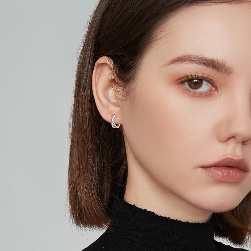 Shandtsuki ring earrings ladies earrings hoop earrings dangling earrings zirconia drop earrings simple business earrings Compatible with metal