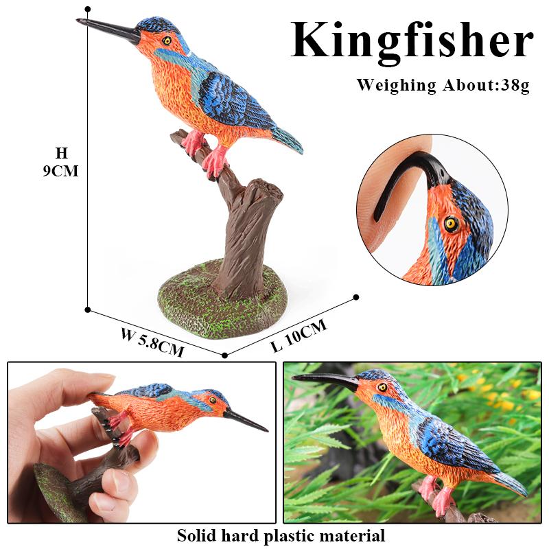 Oenux Bird Nest Animals Peacock Parrot Trogon Hornbill Owl Model PVC Action Figures Big Garden Decoration Cute Kids Toy Gift