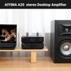 AIYIMA A20 Power Amplifier