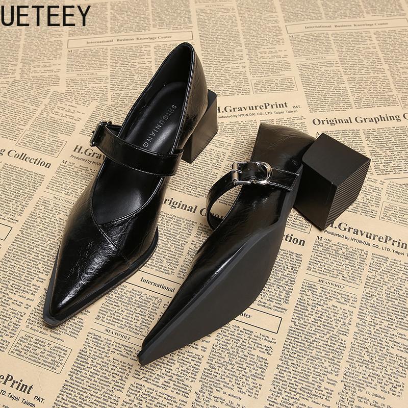 Fashion Designer Vintage Pointed Toe Women Mary Jane Shoes Fashion Shallow Buckle Shoes Spring Ladies Elegant Dress Thick Heel Shoes