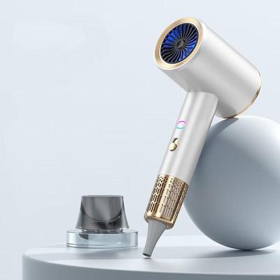 Shengbai Professional Quick-Dry Hair Dryer