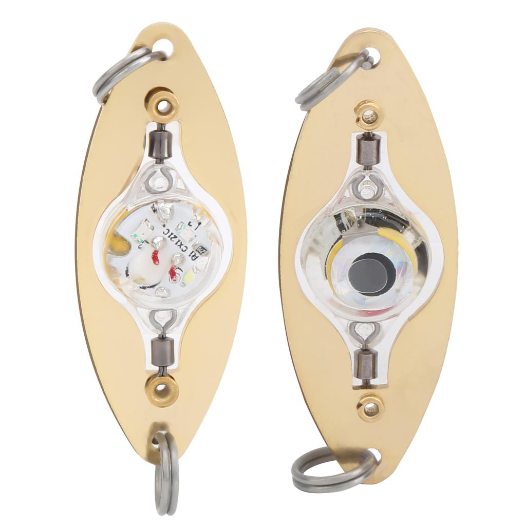2Pcs Fishing LED Lure Light Eye Shape Colorful Flashing Light Bait Underwater Lure Lamp