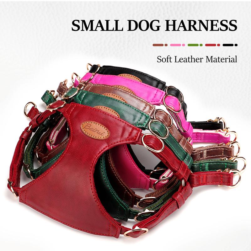 Cute Step-In PU Leather Dog Harness & Leash Set Adjustable Pet Puppy Walking Vest Lead for Small Medium Dogs