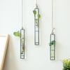 Thickened Hanging Glass Planter Transparent Glass Vase Gardening Supplies Test Tube Vases  Office