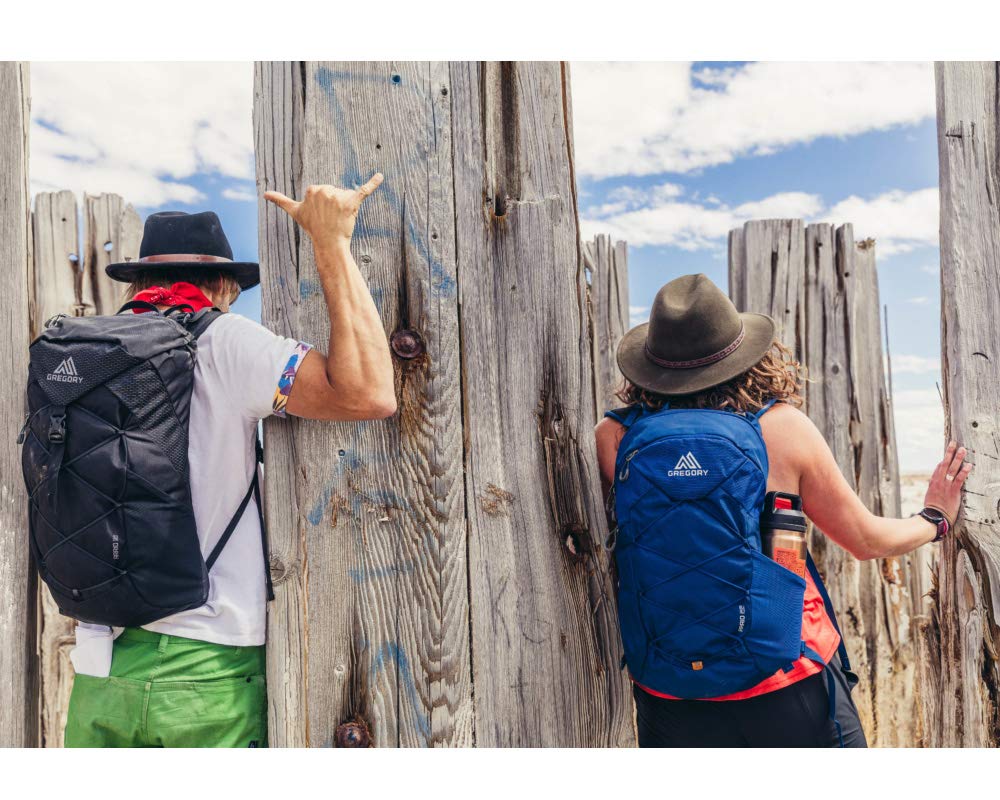 Backpack Ario 22 Frame Black Free Size [Gregory]