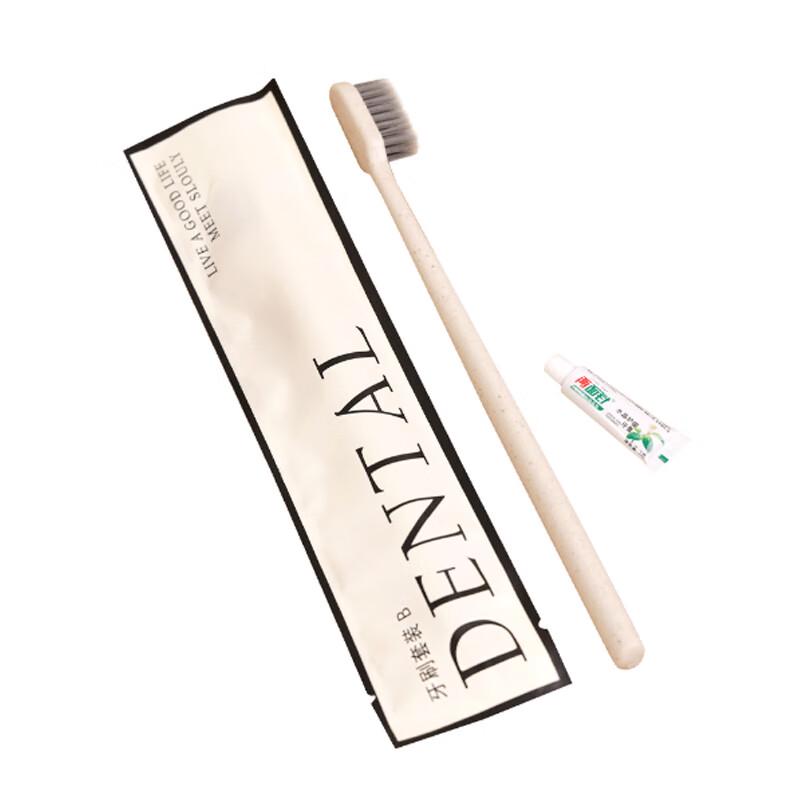 Xiaoyu Disposable Travel Dental Kit