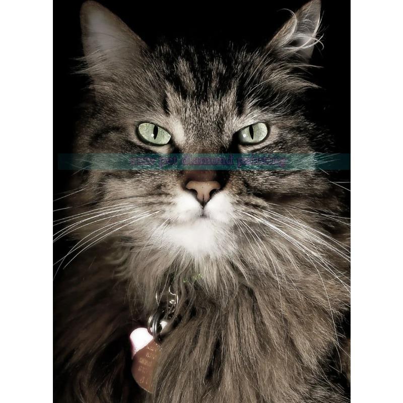 

Vintage Cat Poster Retro Aluminum Metal Sign 20x30cm