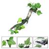 Resin Reptile Plants Lifelike Terrarium Plant for Tank Decor Naural Appearance