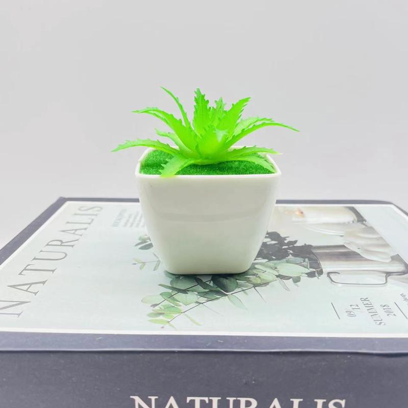 Artificial Succulent Plant With Pvc Material For Home Decor And Gift Ideas