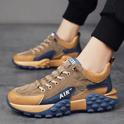 Men's Shoes Spring New Youth Sports Casual Shoes Men's Platform Dad Shoes Men's Forrest Gump Tide Shoes