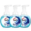 Foaming Antibacterial Hand Wash 225ml X 24-Pack