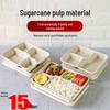 ZISIZ Biodegradable Disposable Lunch Box