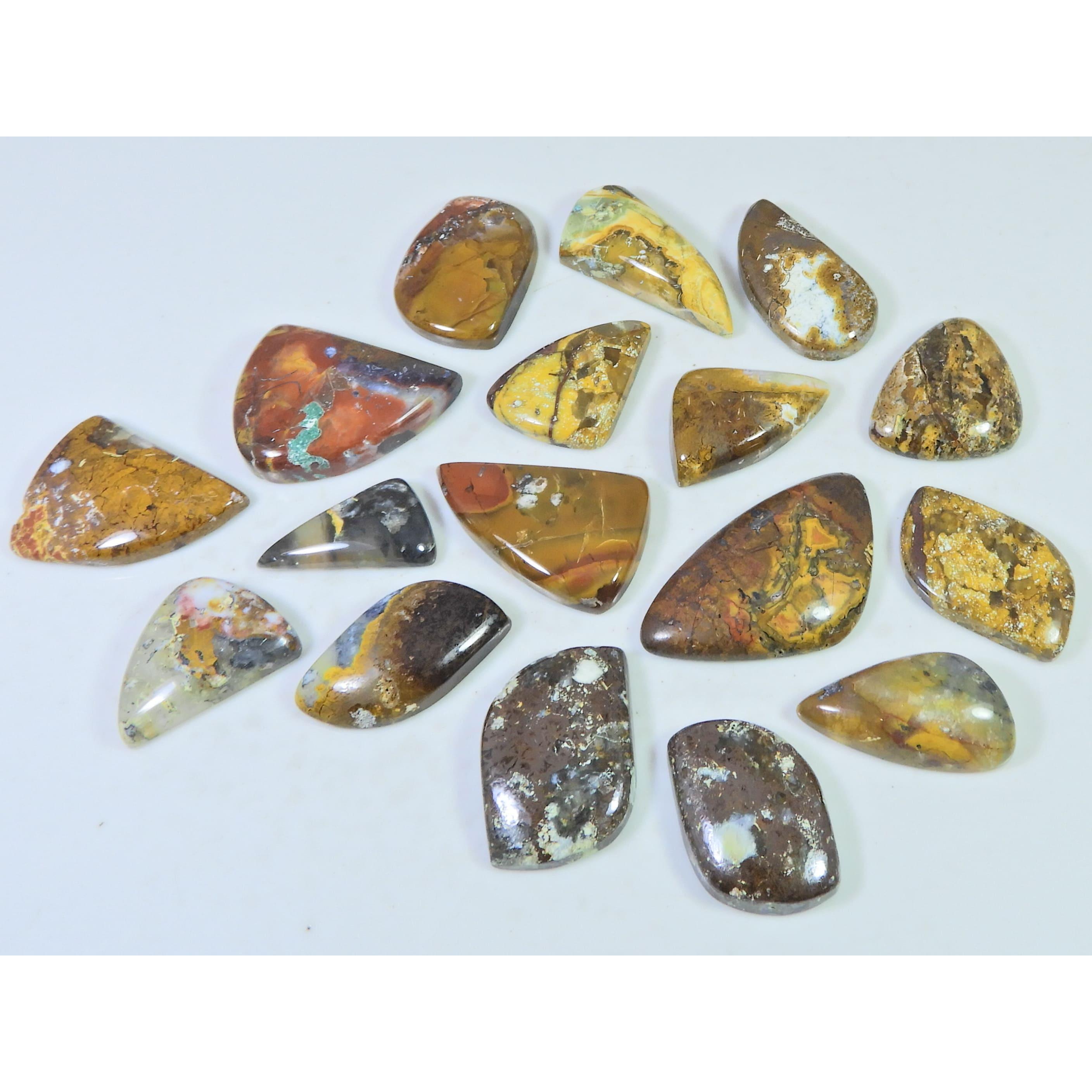 288Cts. Natural Forest Agate Fancy Cabochon Loose Gemstone 17Pcs Lot C-1958