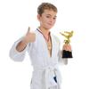 Martial Arts Gold Trophy Awards Plastic Model Winner Award Trophy Toy  for Team Competition