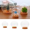 Hand Blown Glass Egg Shaped Round Bubble Terrarium Glass Globe Ball Miniature Micro Landscape Modern Container Lid Vase Bottle