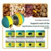 1Pc Dog Puzzle Toy Elliptical Track Rolling Ball Leaky Food Dispenser Develop Intelligence Durable Interactive Pet Toys