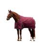 Weatherbeeta Comfitec Prelim Standard-Neck Plain 220g Horse Turnout Rug