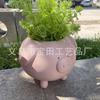 1 piece of cute cartoon piggy-shaped green plant potted plant, creative simple succulent flower pot, garden and courtyard decoration pendulum