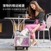 Transparent Bag Detachable Trolley Case Space Module Cat Dog Trolley Backpack Pet Multi Functional Outgoing Trolley Bag