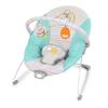 DISNEY BABY - WINNIE - Convertible Baby Bouncer Arch with Removable Developmental Toys - Evolves from 0 To 6 Months, Soothing Vibrations