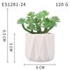 Small, Wavy Cup-Shaped Simulated Succulent Plant Potted Plant, Nordic Office Furniture Fresh Decoration