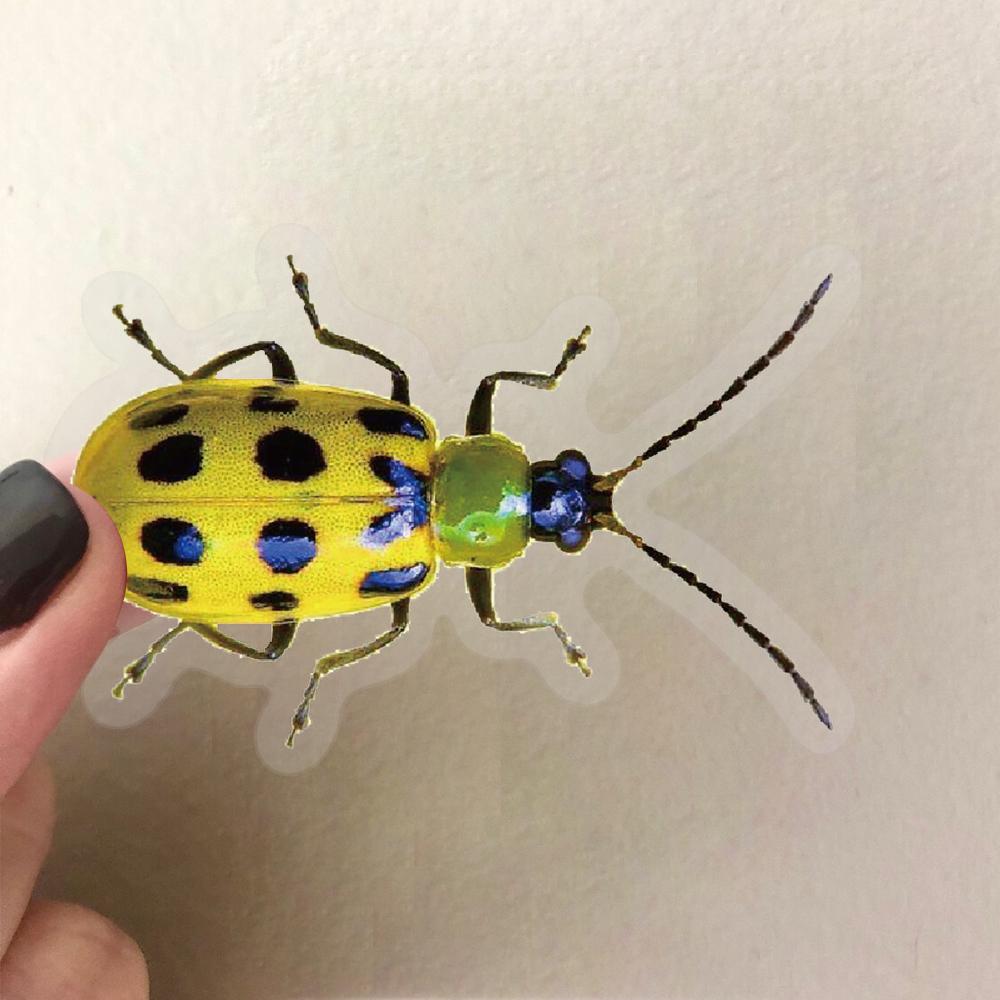 50 Stück Cartoon Süße Cartoon Insekten Käfer Aufkleber PET für Spielzeug DIY Gepäck Laptop Gitarre Skateboard Handyhülle Fahrrad Auto Aufkleber