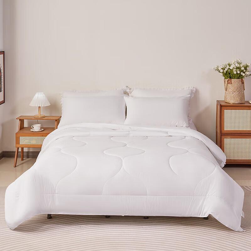 

Mercury Home Textiles Chloe Antibacterial 7-Hole Fiber Summer Quilt