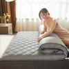 Four Seasons Plush Tatami Mattress with Back Support - Single/Double Dorm Foldable Winter Pad