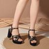 Fashion 2025 Women's Shoes Buckle Strap Women's Sandals Fashion Printing Dress Sandals Women Summer Plus Size Peep Toe Heeled Sandals