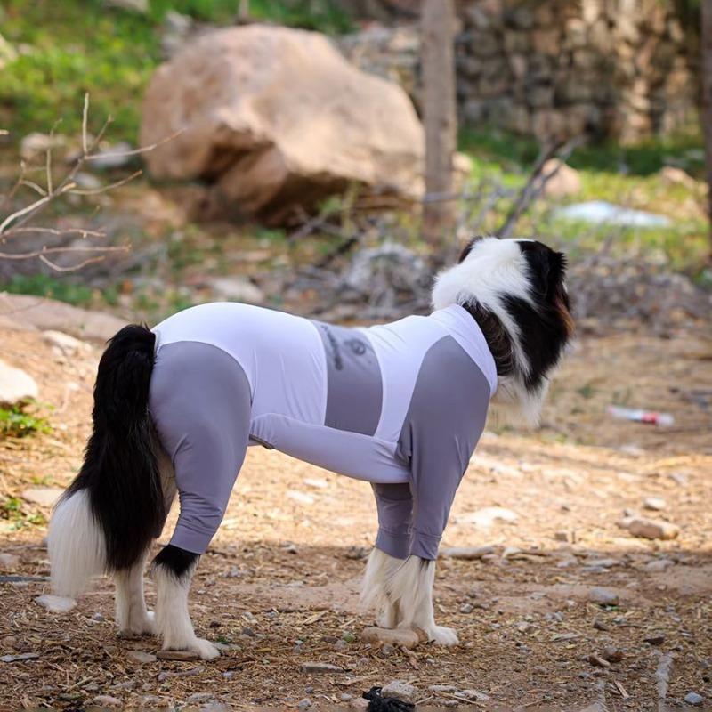 

Одежда для собак Средних и крупных пород Летняя тонкая одежда на четырех лапах Дышащая солнцезащитная одежда Защита от выпадения шерсти Бок Овчарка Шнауцер 8XL chest 100 back 70 about 75-42.5kg