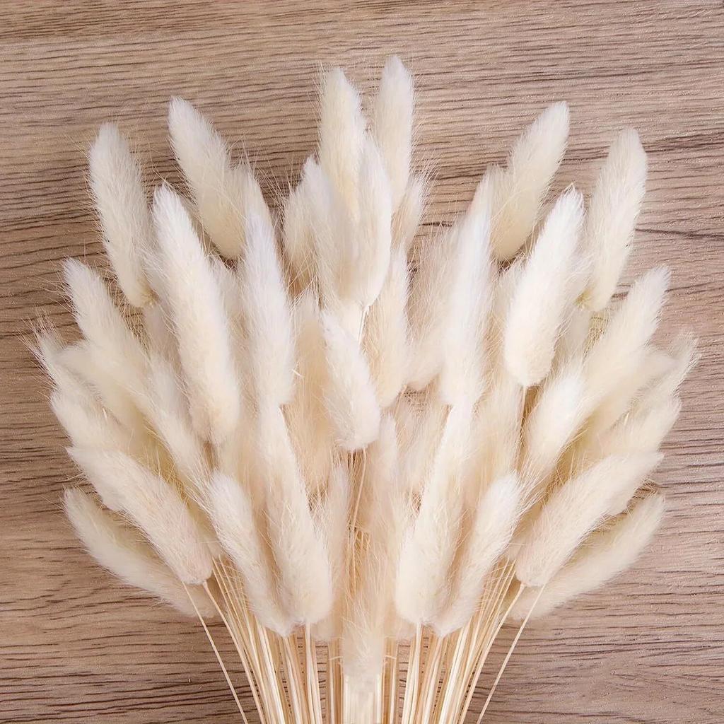 Erba Secca Naturale Coda Di Coniglio (Lagurus) – 60 Pezzi, Lunghezza 50 Cm – Bouquet Verde Per Decorazione Casa, Matrimoni E Centrotavola