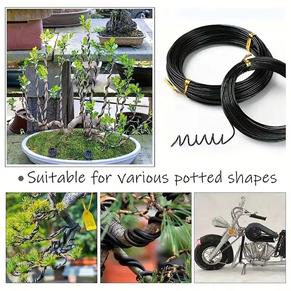 1Pcs 1.0/1.5/2.0/2.5/3.0mm Aluminum Training Wires Orchard Garden Tools  Home Use Garden Accessories