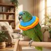 Anti-Bite Bird Protective Collar Breathable Anti Lick Recovery Collar  for Small Cats