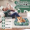 JinYin Pet Pet Bed for Cats and Cushion Sofa Sleeping Area for Small and Medium Cold Weather Suitable for Suitable for Cats and Dogs One Dogs, Carpet,