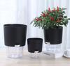 Self Watering Flower Pot Plastic Hydroponics Plants Pot Succulent Potted Planters Transparent Home Office Desktop Decoration
