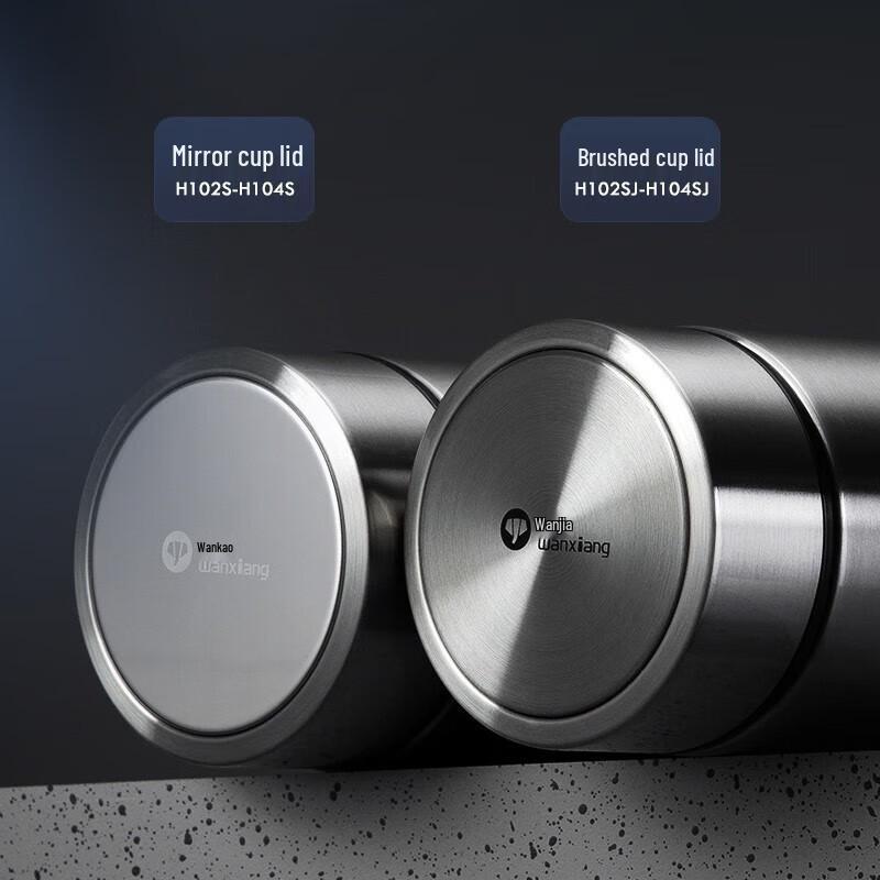 WANXIANG H103S Insulated Glass Tea Infuser Mug