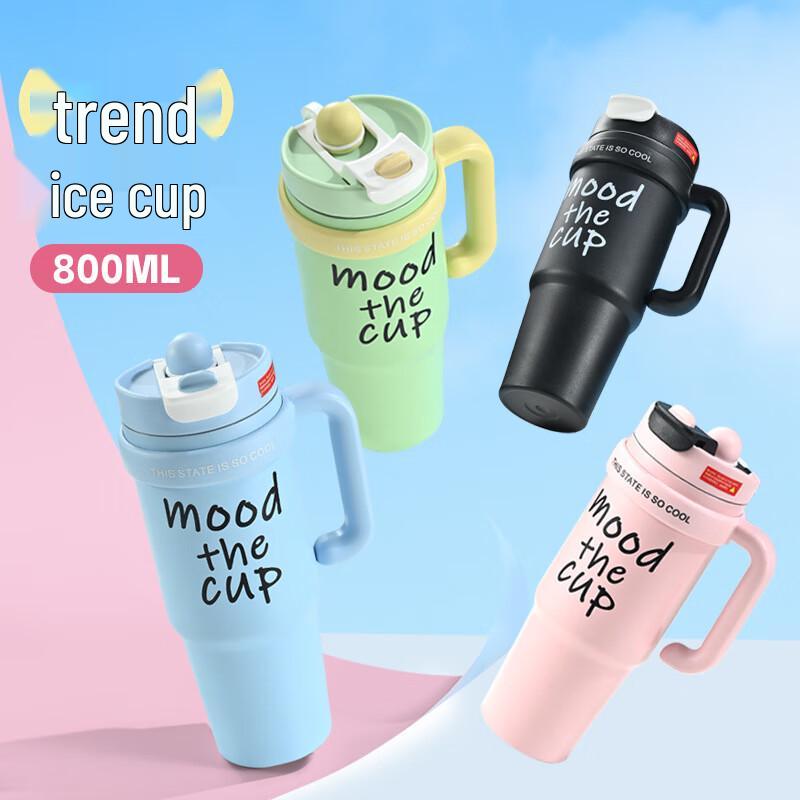 Baizien 800ml 304 Stainless Steel Insulated Straw Cup 800ml