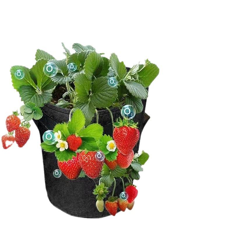Strawberry Planting Bag - Thick, Non-Woven Fabric for Indoor & Outdoor Cultivation