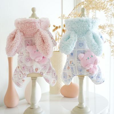 Kleding en schoenen – Overalls voor honden