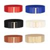 Fashion Waist Belt Elastic Ple Style Universal Leather Straps with Buckles Multicolor Ornaments Belts for Women Dresses