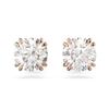 Constella Stud Earrings 5638801